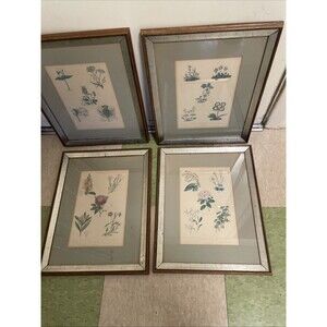 Vintage Antique Set Framed Botanical Print With Latin Names Matted Farmhouse